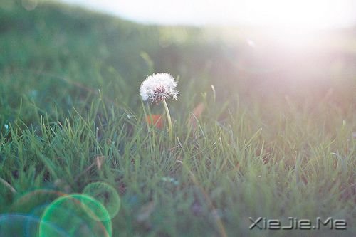 晚安心语：最好的决定，往往是不假思索的那一个 (6)