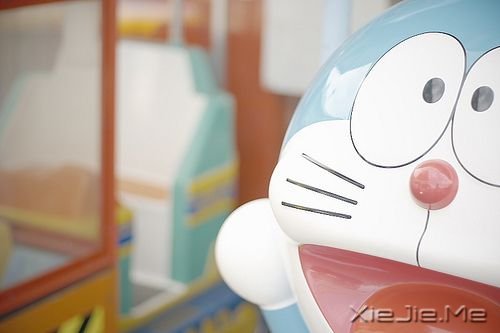 晚安心语：最好的决定，往往是不假思索的那一个 (7)